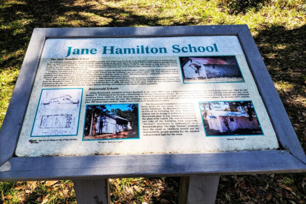 Jane Hamilton