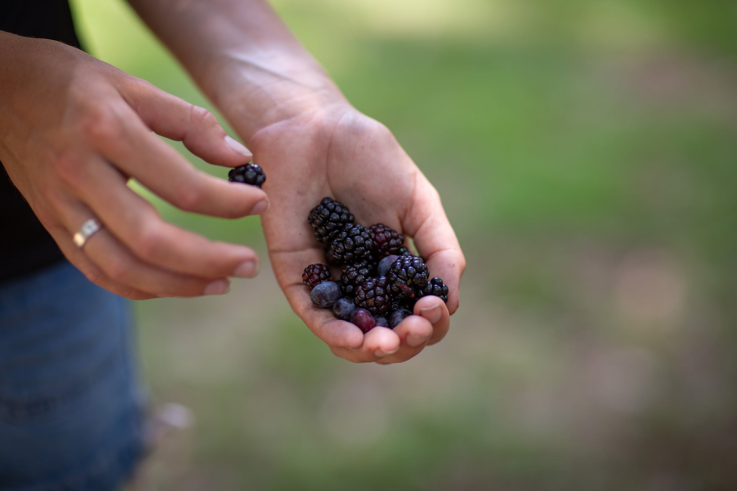 Daufuskie farm market