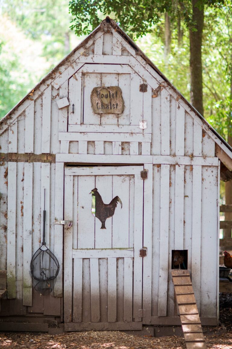 Chicken House Farm Daufuskie