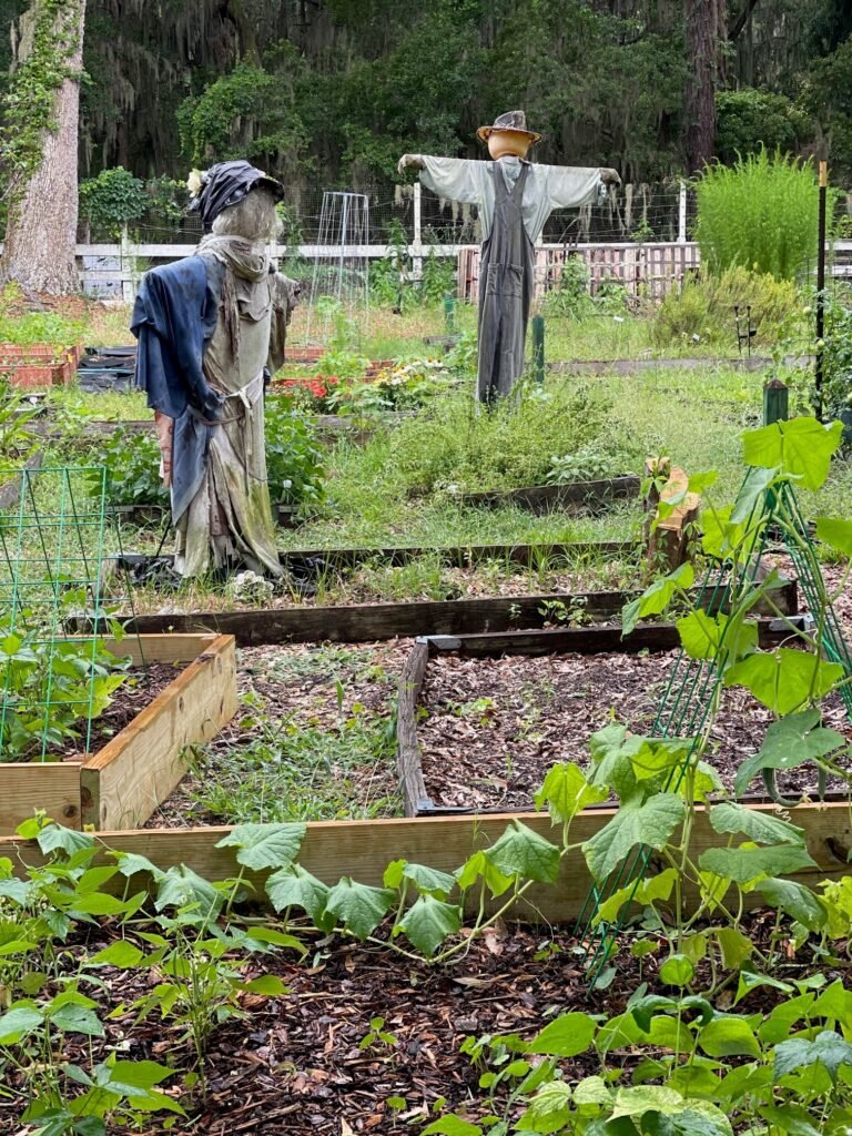 Community Garden